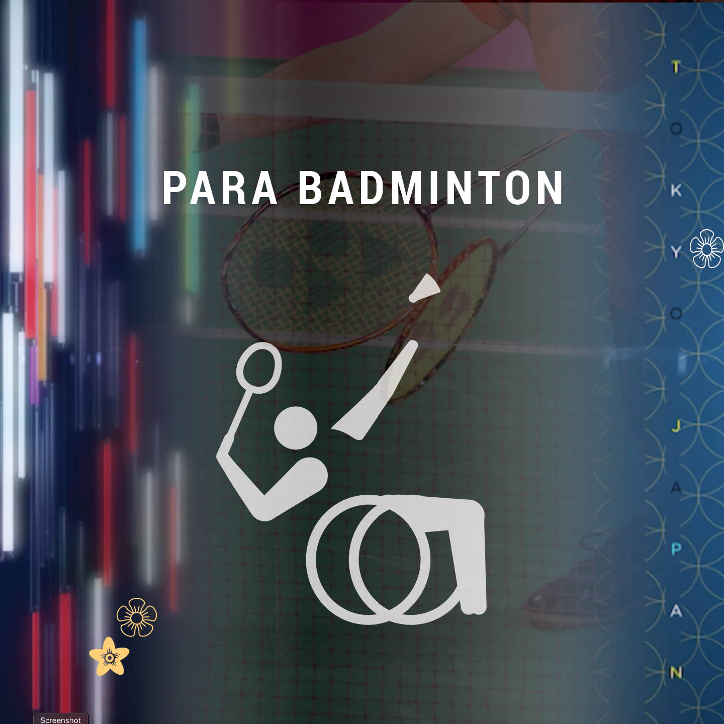Para badminton