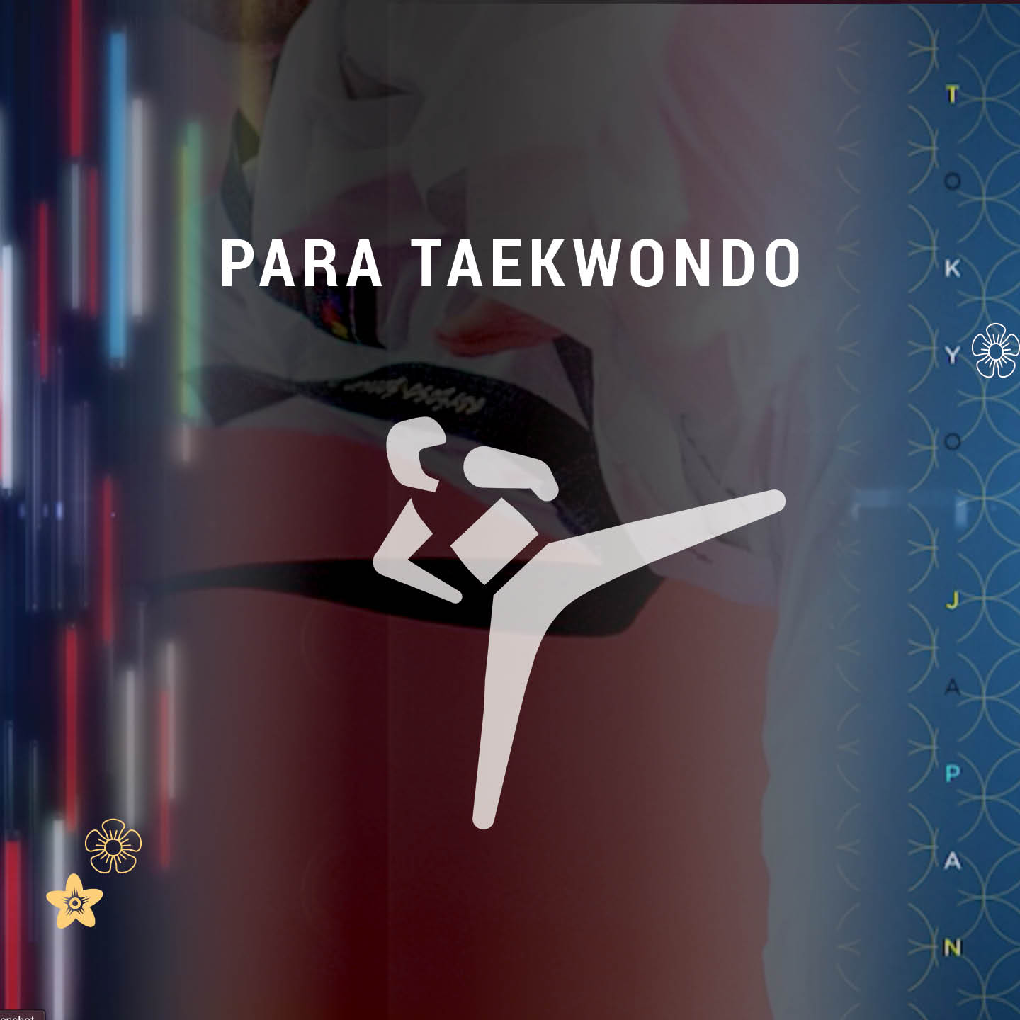 Para taekwondo video on demand