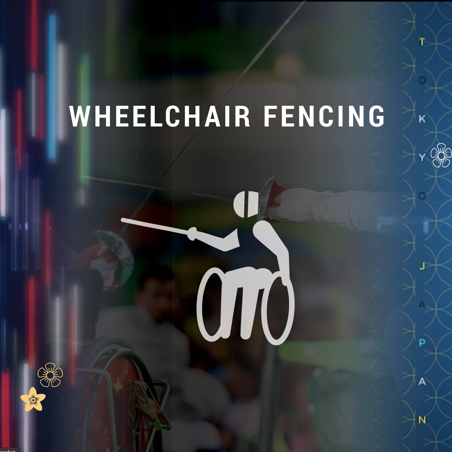 Wheelchair Fencing Video on Demand