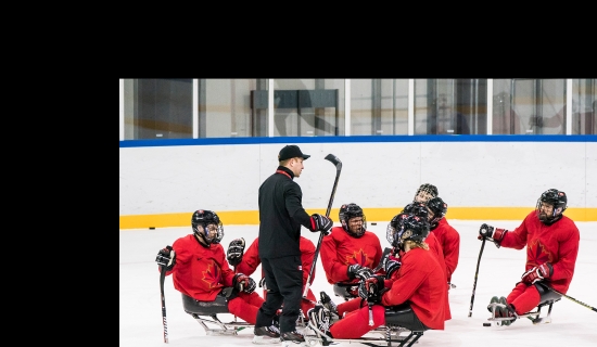 Para ice hockey team
