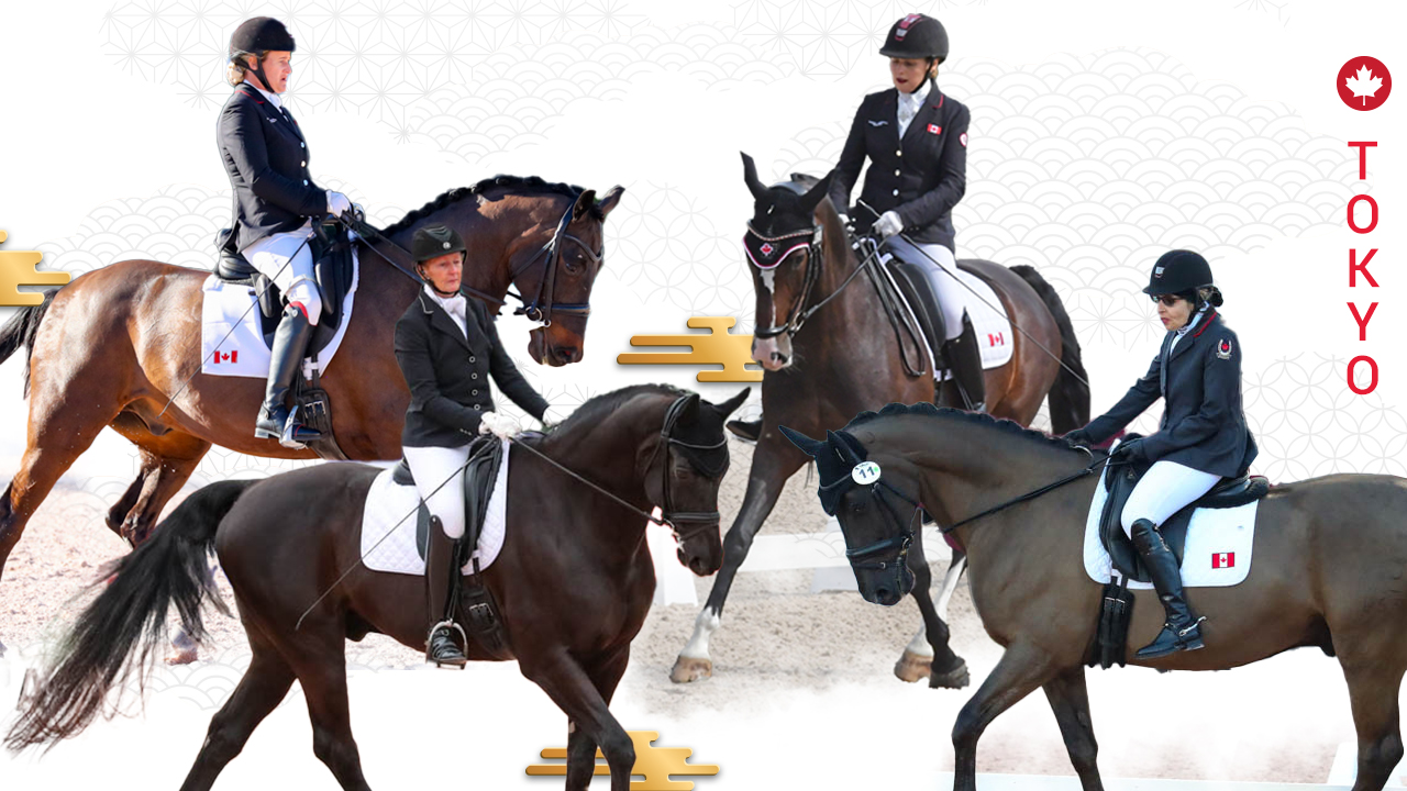 Para dressage riders Lauren Barwick & Sandrino, Winona Hartvikson & Onyx, Jody Schloss & Lieutenant Lobin, and Roberta Sheffield & Fairuza