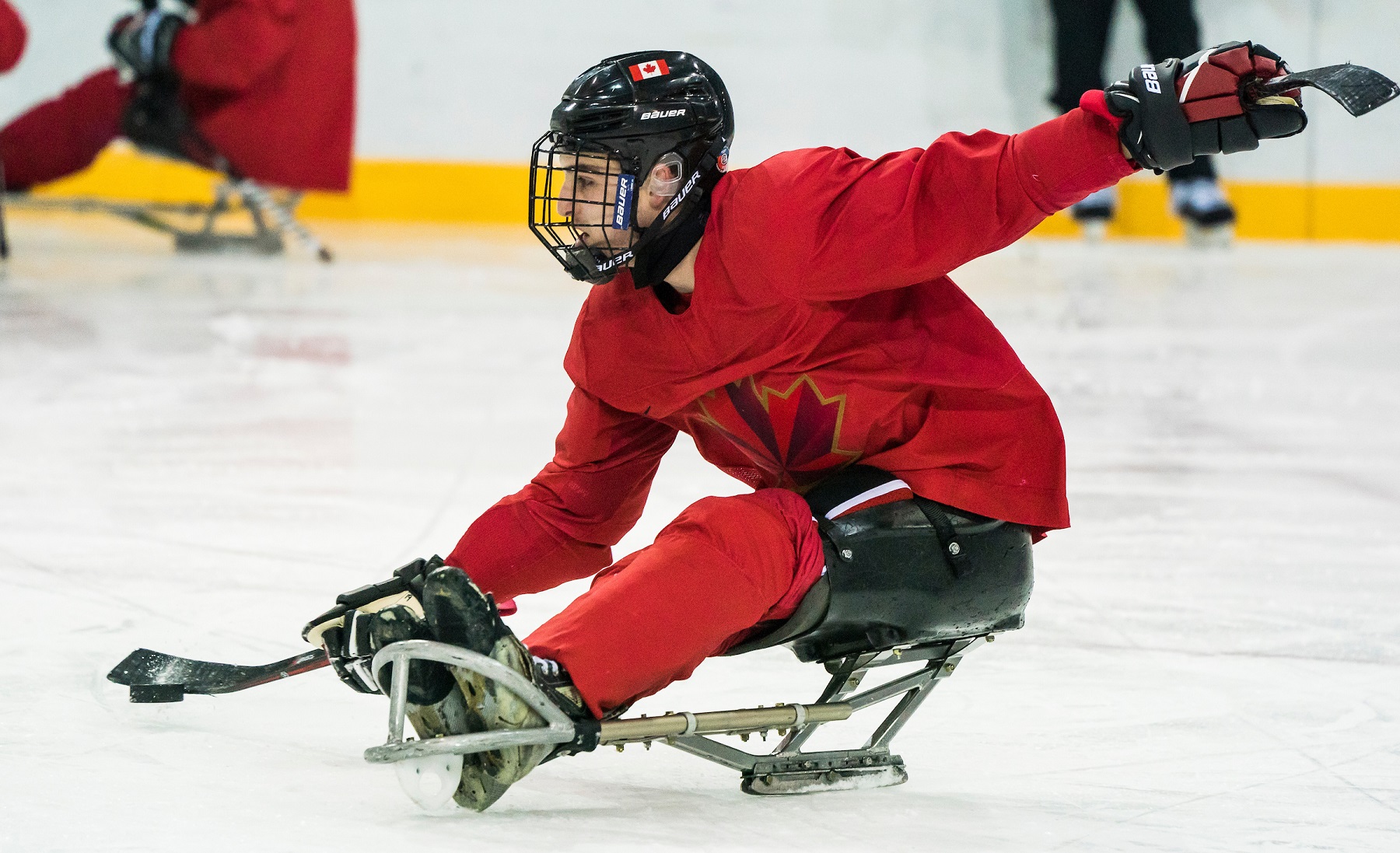 PyeongChang2018_March9_Sledge_DH_-08431%202.jpg