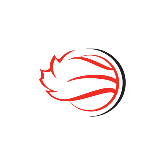 Wheelchair Basketball Canada logo