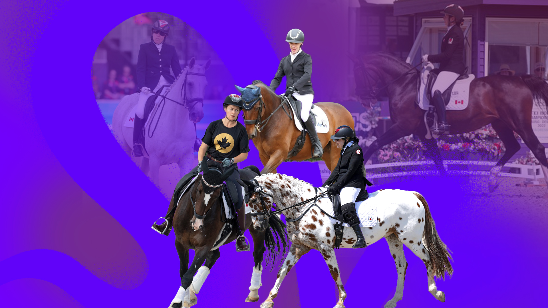 A collage of Canadian Para equestrian athletes competing on their horses.