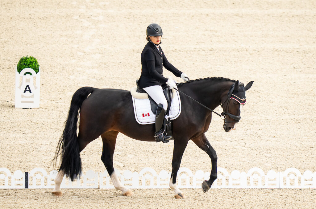 Roberta Sheffield and Fairuza competing
